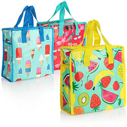 com-four® 3X Bolsa Nevera - Caja Térmica Plegable Clásica - Pequeña Bolsa Aislante para Picnic, Camping, Exterior, Deportes [la selección varía] (03 P características