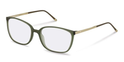 Gafas Graduadas Rodenstock R5294 G precio