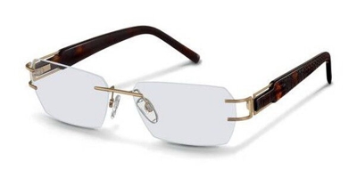 Gafas Graduadas Rodenstock R2192 S2 C