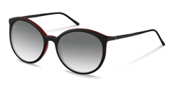 Gafas de Sol Rodenstock R7403 A precio
