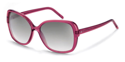 Gafas de Sol Rodenstock R3255 F características