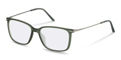 Gafas Graduadas Rodenstock R5308 G características