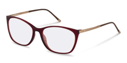 Gafas Graduadas Rodenstock R5293 G características