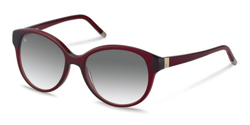 Gafas de Sol Rodenstock R7405 D precio