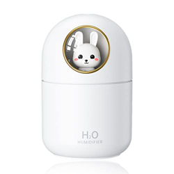 Humidificadores para el hogar y las plantas, humidificador resplandeciente, temporizador USB, rociador difusor de aire de 300 ml, 2 modos, protección  características