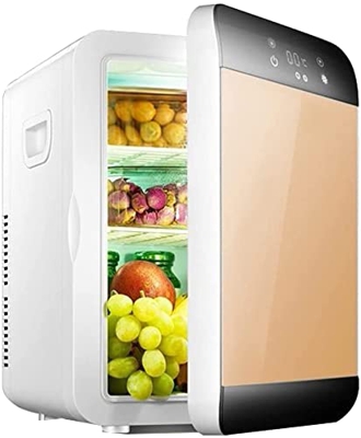 Car Fridge Mini Fridge Dual-coreRefrigeration CarDual-use Hot and Cold Dual Use 220V AC / 12V DC Suitable for Family Car Truck Outdoor Travel(Color : 