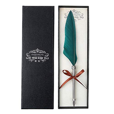 Generische Retro Quill Feather Dip - Pluma estilográfica (caja de regalo)