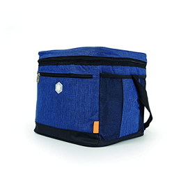 Bolso Nevera 22L, Bolsa isotérmica Porta alimento, Bolsa para Almuerzo, Nevera portatil, Nevera pequeñas portátiles, para Picnic Playa Camping excursi precio