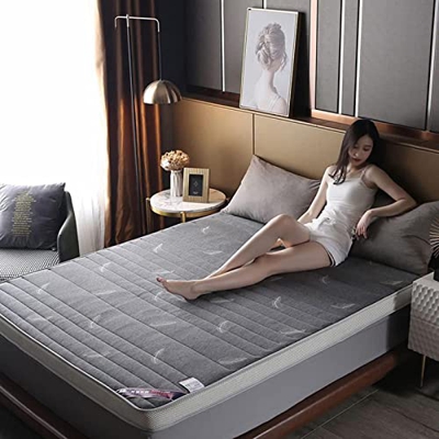 HAOLY Colchón de futón japonés, colchón de piso de futón suave plegable roll up tatami mat, colchón transpirable alfombra para dormir, colchón de espu