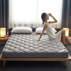 HAOLY Colchón de estilo japonés, colchón de futón de dormitorio de estudiante, tapete plegable de tatami enrollable para piso, colchón de invitados in características