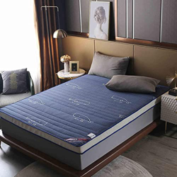 HAOLY Colchón de futón japonés, colchón de piso de futón suave plegable roll up tatami mat, colchón transpirable alfombra para dormir, colchón de espu precio