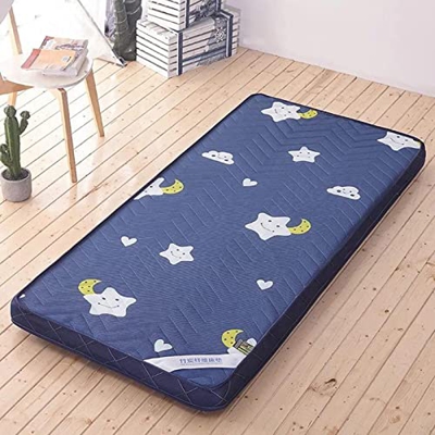 HAOLY Colchón de piso plegable para niños, colchón grueso de tatami plegable doble individual tatami Mat, colchón de camping portátil de viaje para es