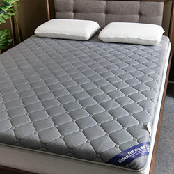 HAOLY Colchón de futón para niños, colchón de tatami transpirable de espuma viscoelástica, tapete de dormir plegable enrollable, colchón de camping po en oferta