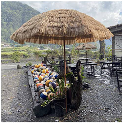 Desconocido Parasol Redondo Sombrilla De Rafia Gigante Parasols De Paja De Hawaii Diametro 260cm Altura 240cm Sombrilla De Playa, para Exteriores Jard características