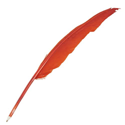 Obelunrp Pluma Creativa Pluma novedosa ficha de fichas de Plumas de la Pluma de la Boda decoración del Escenario del Escenario de la Tinta Negra 1 Pie en oferta