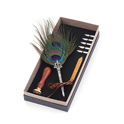 n/A Personalidad Pen Natural Pluma Vintage Dip Metals Metals Fountain Pen Caja Conjunto Regalo de cumpleaños 5 Nib (Color : A) precio