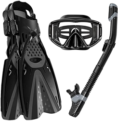 AMZOPDGS Buceo Buceo Conjunto de esnórquel seco Panorámica Ajustable Vista Amplia Buceo Buceo Profundo Snorkel Equipo Profesional de esnórquel con Ale precio