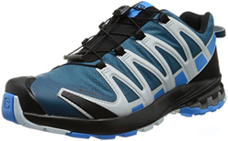 SALOMON Shoes XA Pro 3D v8 GTX, Zapatillas de Trail Running Hombre, Legion Blue/Blithe/Pearl Blue, 44 EU en oferta