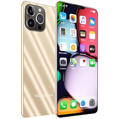Duanmuci 13 Pro MAX, Mtk6889, 10 Núcleos 6.7 Pulgadas HD+ 1080x2320, 5g, 8gb+128gb 24mp+48mp, Batería 5000mah, Android 11.0