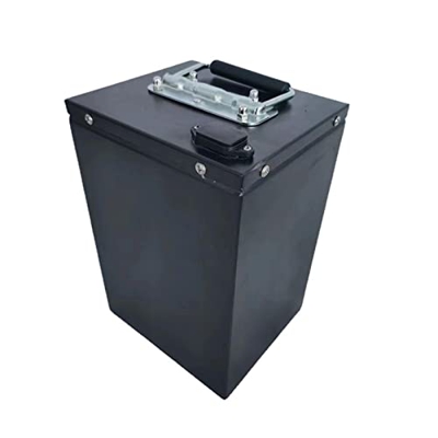 TGHY 48V Batería Ebike Pedelec Batería LiFePO4 Batería con Cargador Batería para Bicicleta eléctrica Pedelec Motocicleta MAX 1000W Motor 35AH 35Ah 45A