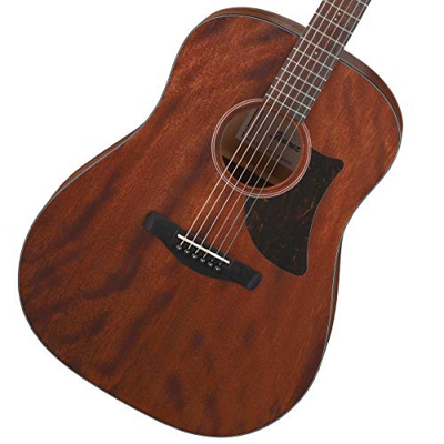 Ibanez AAD140 Open Pore Natural
