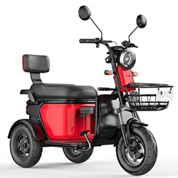 NICEYY Triciclo de Scooter eléctrico, Scooter de Movilidad de 3 Ruedas, protección del Medio Ambiente y Ahorro de energía Triciclo eléctrico de Servic precio