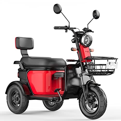 NICEYY Triciclo de Scooter eléctrico, Scooter de Movilidad de 3 Ruedas, protección del Medio Ambiente y Ahorro de energía Triciclo eléctrico de Servic