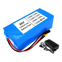 FREEDOH Batería para Bicicleta Eléctrica Paquete Batería Iones Litio para Bicicletas Eléctricas De 36V con Cargador De 42V 2A Apto para Motores De Bic precio