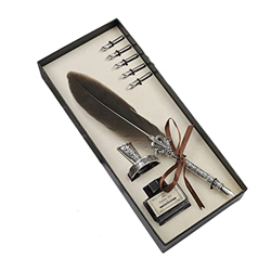 DIIDII Juego de Caja de Regalo de Pluma de Ave Vintage, Pluma de Ave Oblicua, Pluma de inmersión de caligrafía Vintage, se Puede Usar for Aprender cal precio