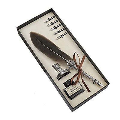 DIIDII Juego de Caja de Regalo de Pluma de Ave Vintage, Pluma de Ave Oblicua, Pluma de inmersión de caligrafía Vintage, se Puede Usar for Aprender cal