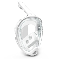 Gafas de Buceo Máscara de buceo de cara completa for adultos Máscara de esnórquel Máscara de espejo de buceo Esnórquel completamente seco Máscara de e en oferta