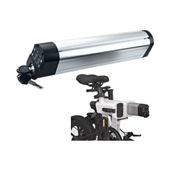 TGHY Batería de Litio de Bicicleta eléctrica para C16 C20 C26 Z14 Z16 Z20 Ebike batería de Iones de Litio Reemplazo de batería de Bicicleta Plegable 3 características