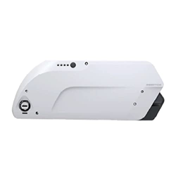 TGHY Batería Bicicleta montaña 36V Batería de Bicicleta eléctrica Batería de Litio E-Bike Batería de Iones de Litio para Bicicleta eléctrica con Carga en oferta