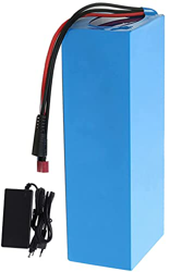 stdpcxz Batería De Bicicleta Eléctrica De 36V, 15.6AH Batería De E-Bike Batería De Iones De Litio para Bicicleta Eléctrica con Cargador, para Motor De características