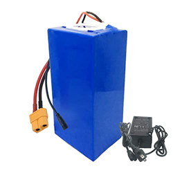 FREEDOH Batería Bicicleta Eléctrica De 48V 20Ah 13S4P Paquete Batería Iones Litio Recargable Apto para Bicicletas Eléctricas Motor De 250W-1000W con C en oferta