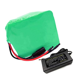 WILLQ Paquete de batería de Iones de Litio de 24V 15Ah batería de Bicicleta eléctrica, Bicicleta eléctrica con Cargador baterías de Bicicleta Impermea precio