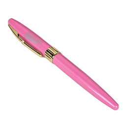 Pluma Estilográfica caligrafia Pluma estilográfica absorbente de tinta adecuada para estudiantes de escuela primaria que practican caligrafía y pluma  en oferta