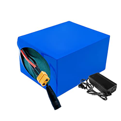 FREEDOH 29.4V 15600mAh Ebike Batería De Litio 24V 15.6Ah 7S6P Batería De Iones De Litio 50W-350W Batería De Juguetes Eléctricos De Iones De Litio con  en oferta
