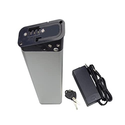 TGHY Repuesto Batería de Bicicleta eléctrica 36V Batería para Bicicleta eléctrica incorporada Plegable Paquete batería de Iones de Litio para 500W 350 precio