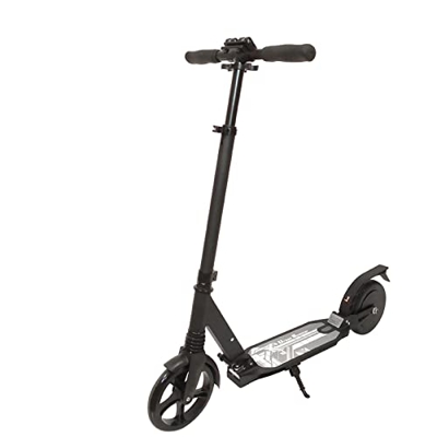 SGSDG Scooter eléctrico, Sistema de Frenos de Guardabarros Trasero y Amortiguador, Motor de 150 vatios, 4 mph, neumáticos sólidos de 8 Pulgadas, Scoot