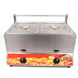 Gas de acero inoxidable LGP, gas multifunción comercial de gran capacidad de 22 l, potencia de fuego ajustable, con cesta y tapa, para patatas fritas, características