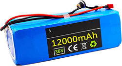 stdpcxz Bateria para Bicicleta Electrica 36V 12Ah Bateria para Kit Bici Electrica Compatible con Motores De 250W A 750W con Cargador + BMS 36V 12A,XT6 características