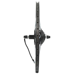 YYQTGG Kit de Conversión de Bicicleta Eléctrica, Buena Disipación de Calor Kit de Conversión de Rueda Trasera 24V 250W Pantalla de Batería de Aleación precio