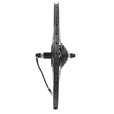 YYQTGG Kit de Conversión de Bicicleta Eléctrica, Buena Disipación de Calor Kit de Conversión de Rueda Trasera 24V 250W Pantalla de Batería de Aleación