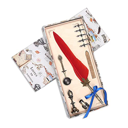 HOUKAI Vintage Feather Fountain Pen Metal Nibs Ink Tinta Escritura Juego de Herramientas Papelería Caja de Regalo con 6 Nib Suministros coleccionables en oferta