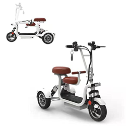 Lincheer Motocicleta eléctrica Plegable de 3 Ruedas eléctrica de 55 km con absorción de Impacto Independiente/Triciclo eléctrico para Montar para Adul precio