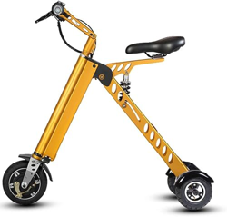 Lincheer Mini Triciclo Plegable para Patinete eléctrico, Triciclo eléctrico cómodo, Velocidad de Ajuste de 3 velocidades/Carga Completa, Puede Andar d precio