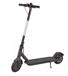 Genggeng Tubo de protección de poste compatible con Ninebot Max G30/G30D Kickscooter M365/M365 Pro Scooter eléctrico Accesorios (Color: Blanco) características