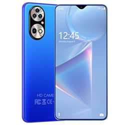 Roytil P50 Pro 6.7 Pulgadas Android 10 Ten-Core 6000mAh Batería Dual SIM Desbloqueo Facial 16 GB RAM, 512GB ROM Smartphone Face ID,Azul,L características
