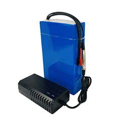 WILLQ Batería Ebike 48V 15AH/18AH/20AH Paquete de batería de Iones de Litio de PVC Impermeable para 1000W 700W 400W 250W Motor de Bicicleta eléctrica  características